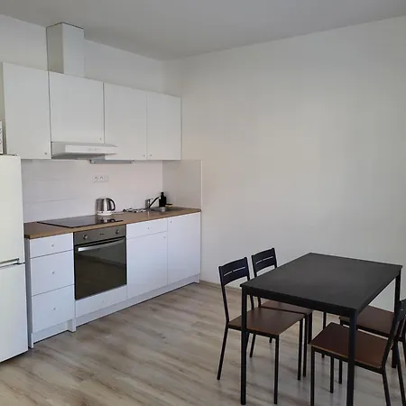 Rezidence Krenova - Brno-Stred- Trnita Appartement Buitenkant foto