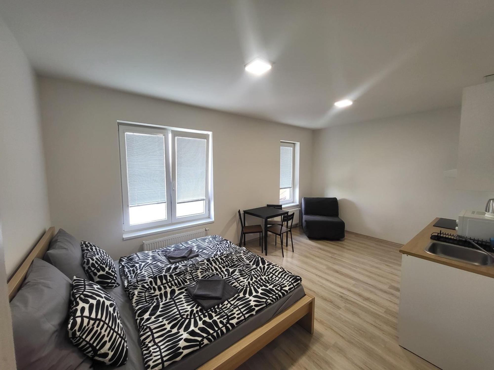 Rezidence Krenova - Brno-stred- Trnita Apartment *