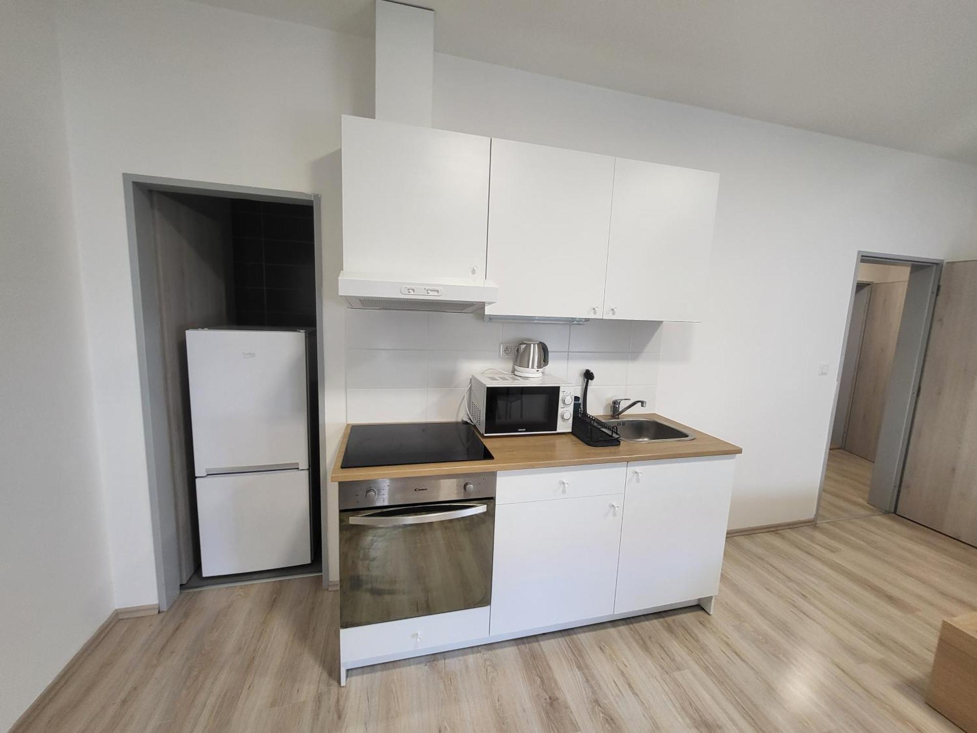 Apartment Rezidence Krenova - Brno-stred- Trnita Brno