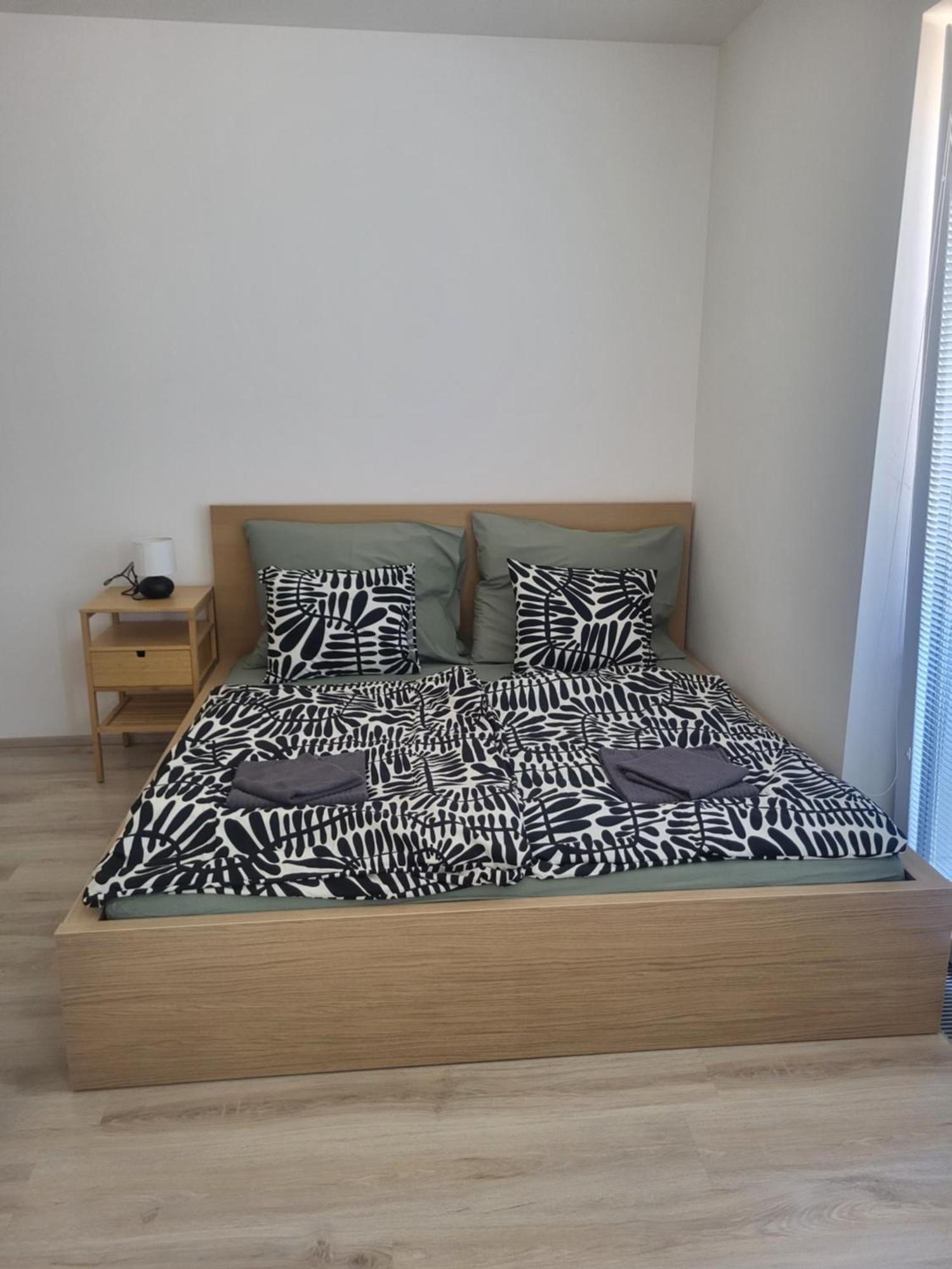 Rezidence Krenova - Brno-stred- Trnita Apartment