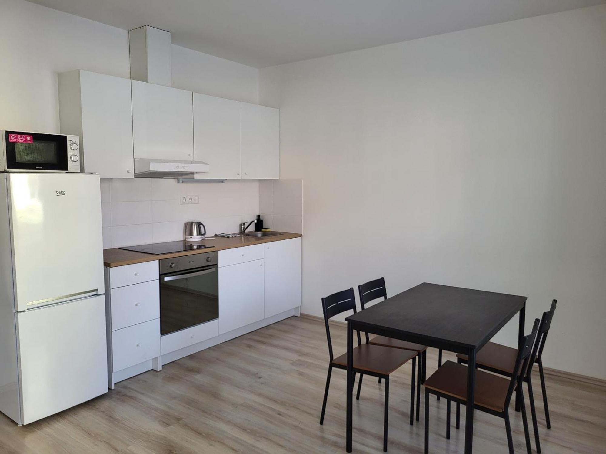 Rezidence Krenova - Brno-stred- Trnita Apartment